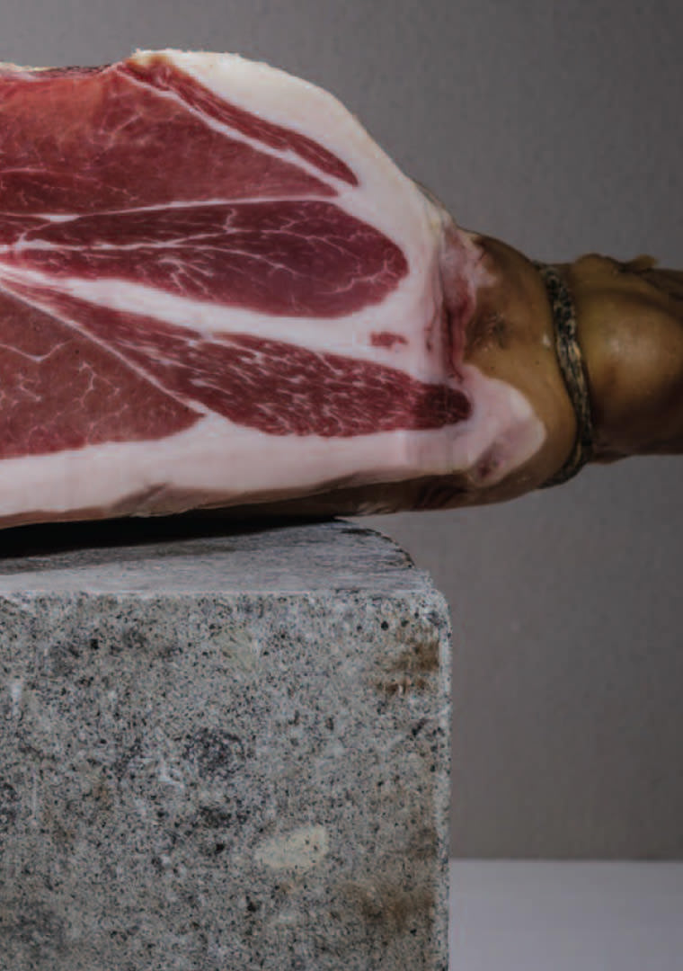 catalogo-coccia-media-11