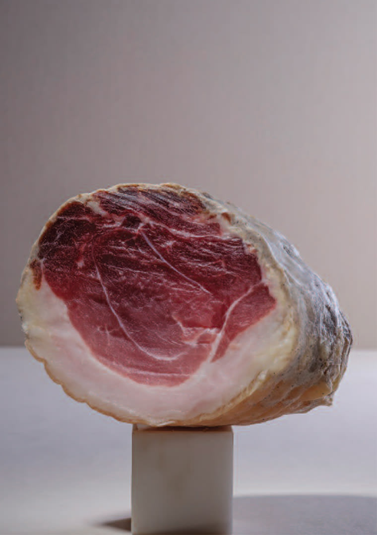 catalogo-coccia-media-14