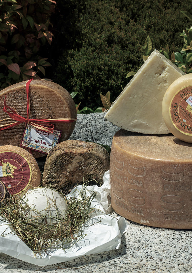 formaggi-di-pecora