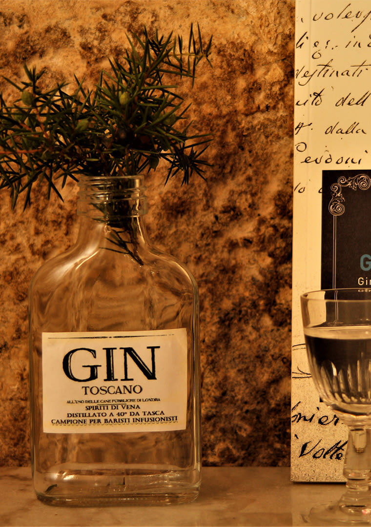 gin-foto-promo-5