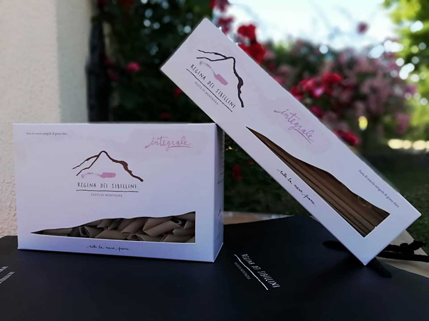 65448477_2091270574332983_3076147455335596032_n