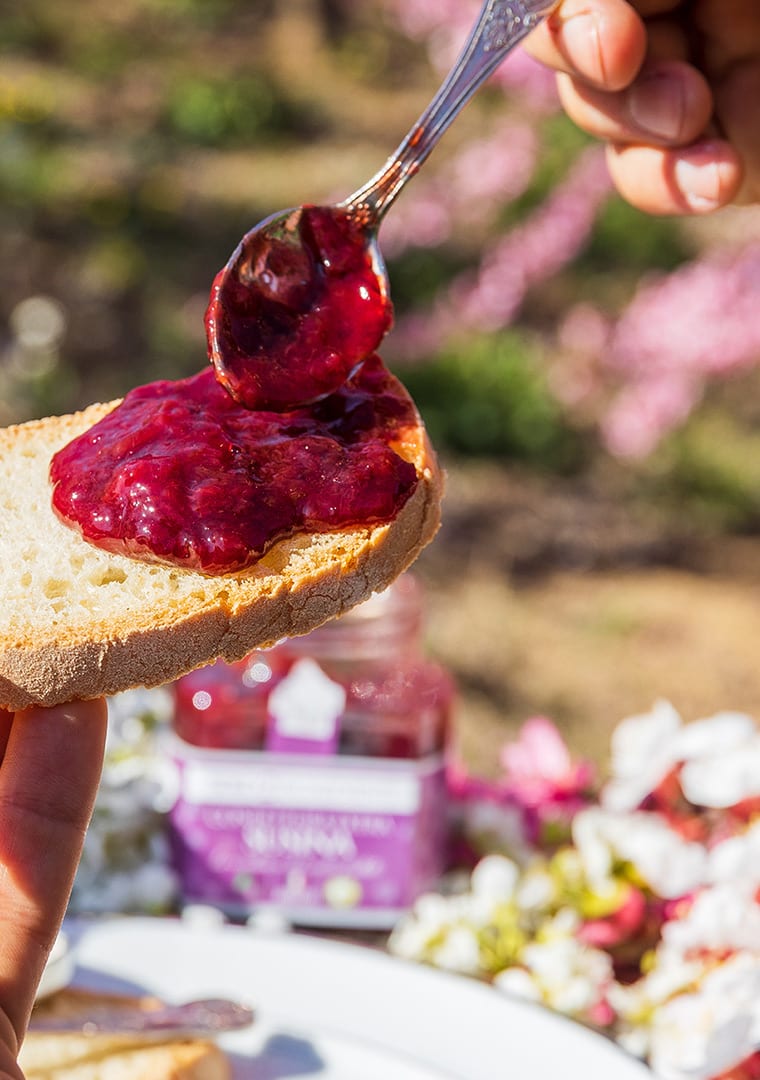 Pane-e-confettura-Susine