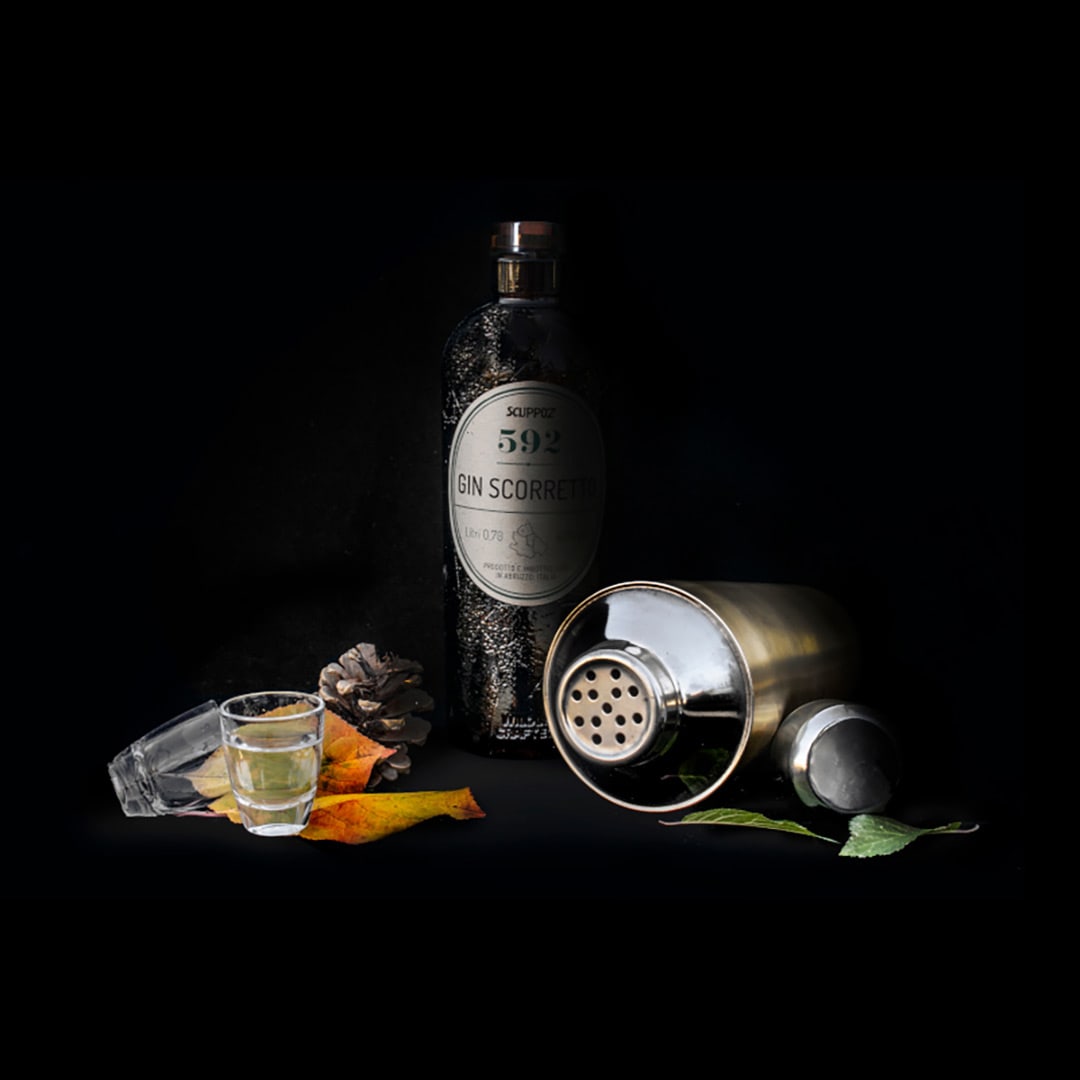 gin-artigianale-con-spezie-e-piante-varie-pigna-shaker