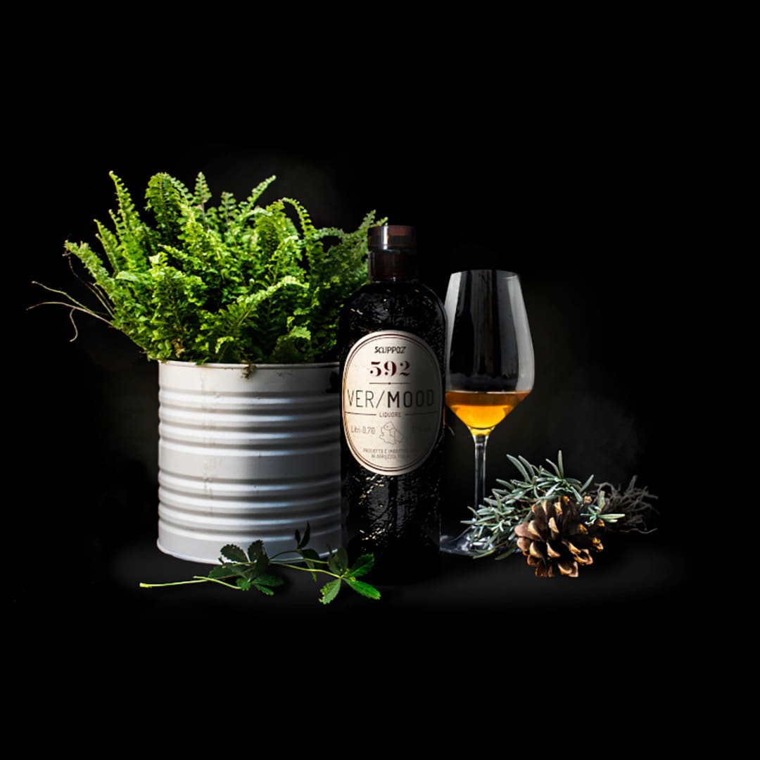 vermood-artigianale-con-spezie-e-piante-varie-pigna-bicchiere-di-cristallo