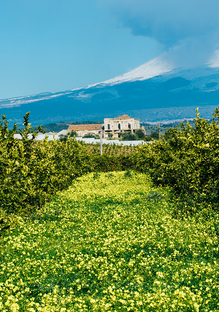 Contrada-San-Martino-con-l_Etna-sullo-sfondo