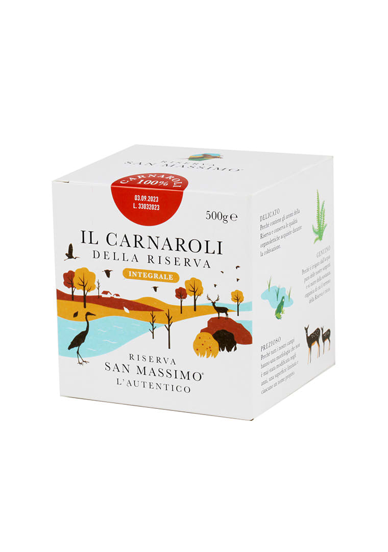 RSM-integrale-500-dx