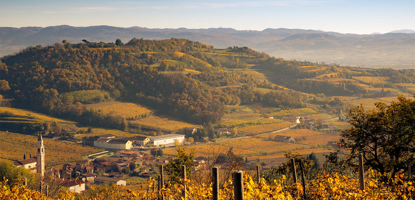 herobanner_CAVAZZA_T15