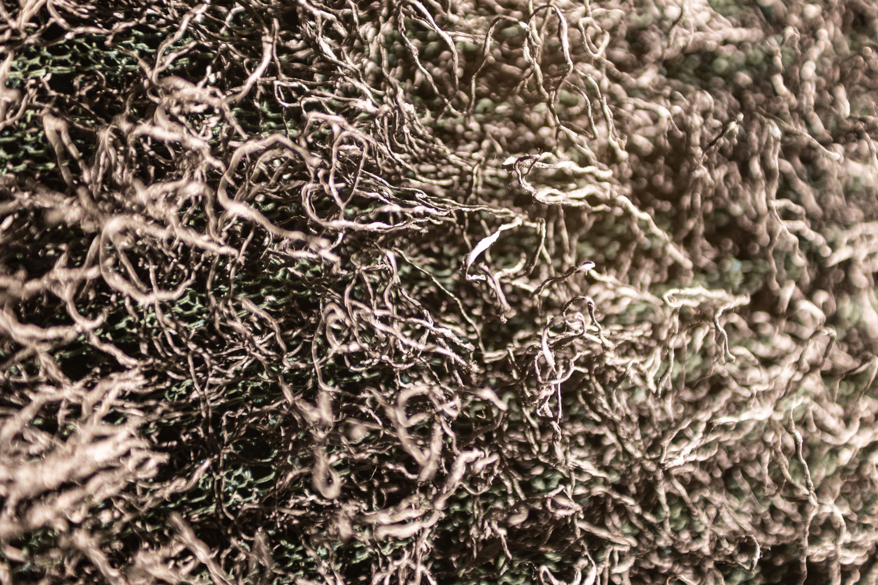 IntoTheWildDetails_002