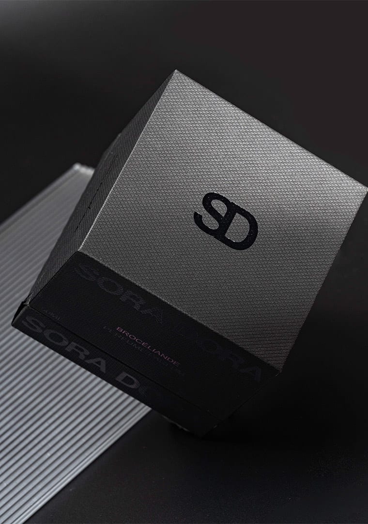 Photo-24-8-2022_-3-28-54-pm