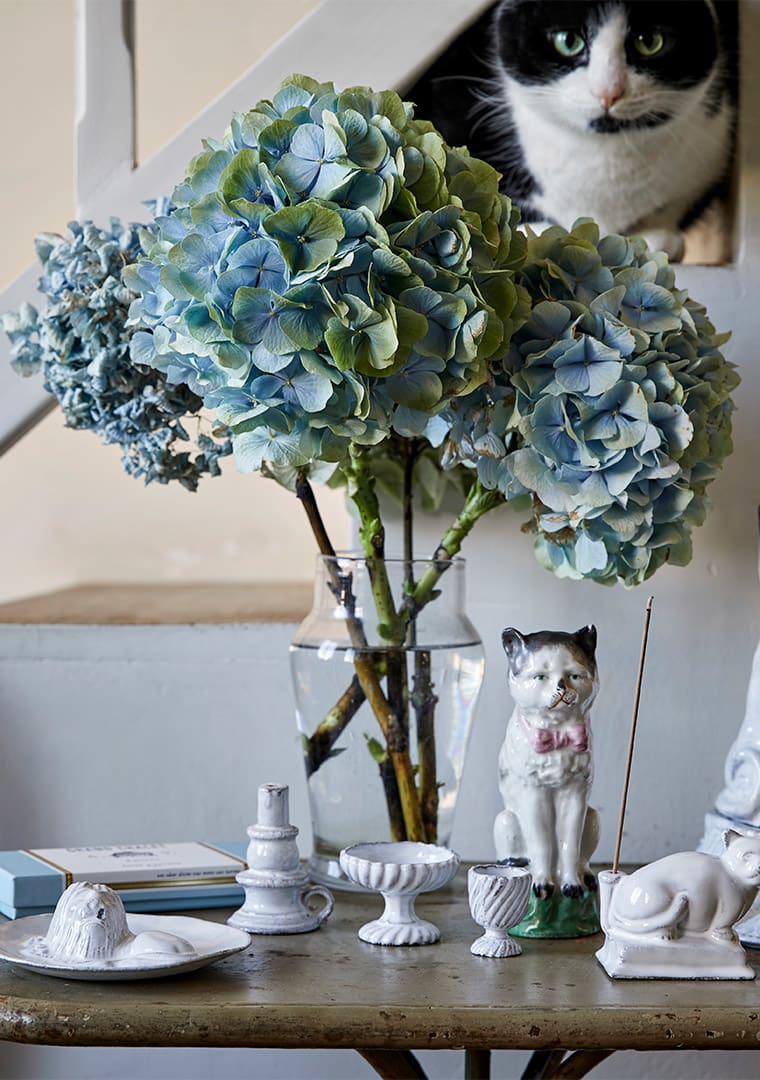 AdV-ST-VICTOR-03-encens-soir-030-V3-CHAT