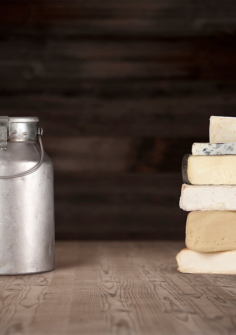 Milk-Cheese_Citylight-poster