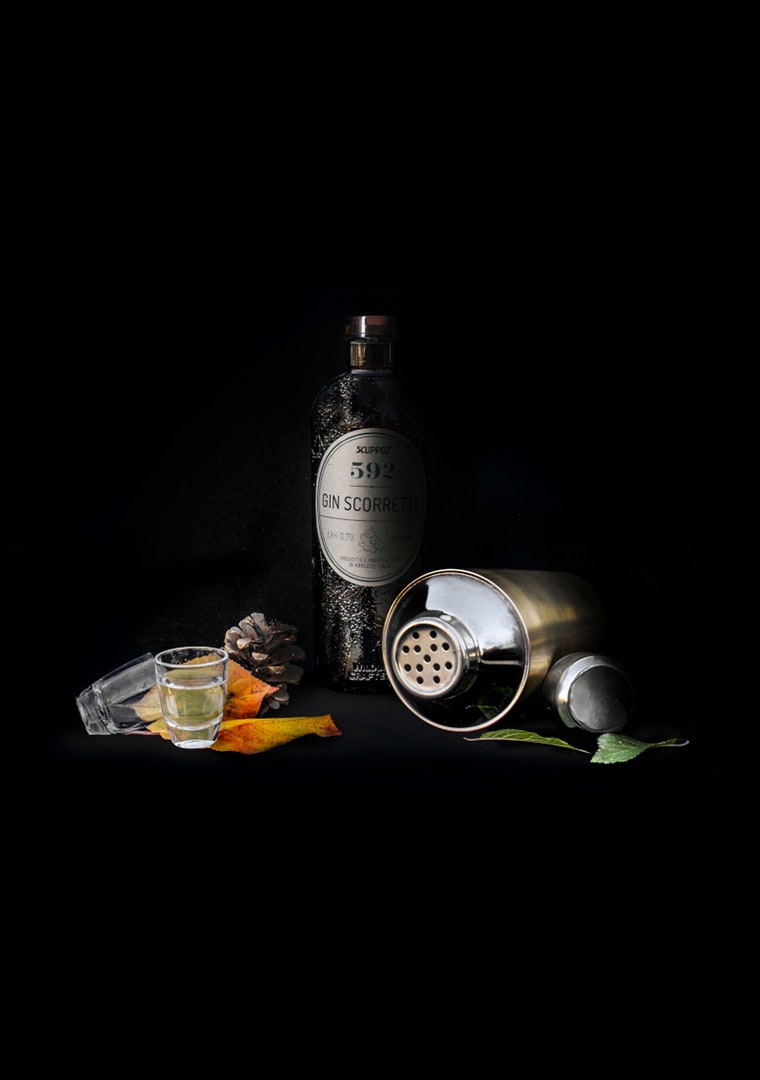 gin-artigianale-con-spezie-e-piante-varie-pigna-shaker