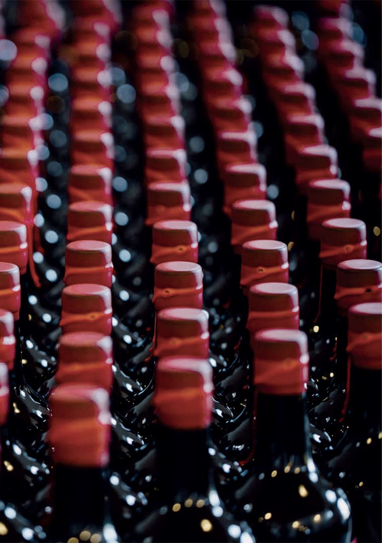 Amara_brochure_con-catalogo_WEB_2_1_-8