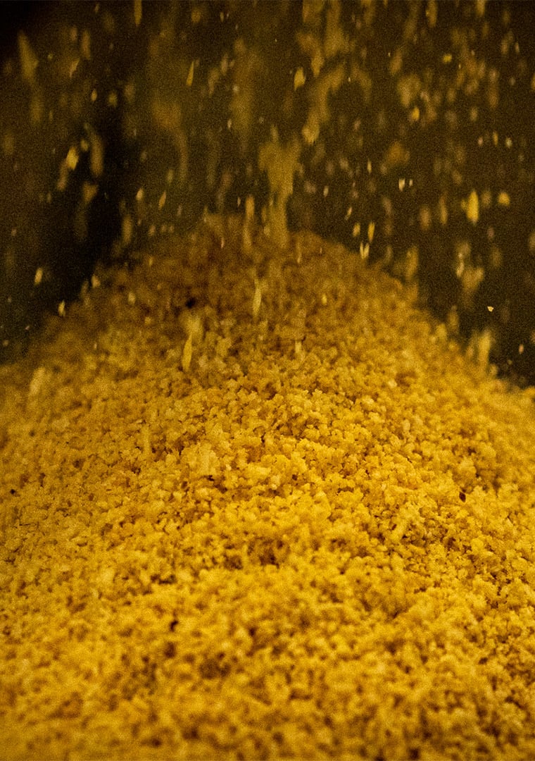 CORILU-_--PICTURES_-16