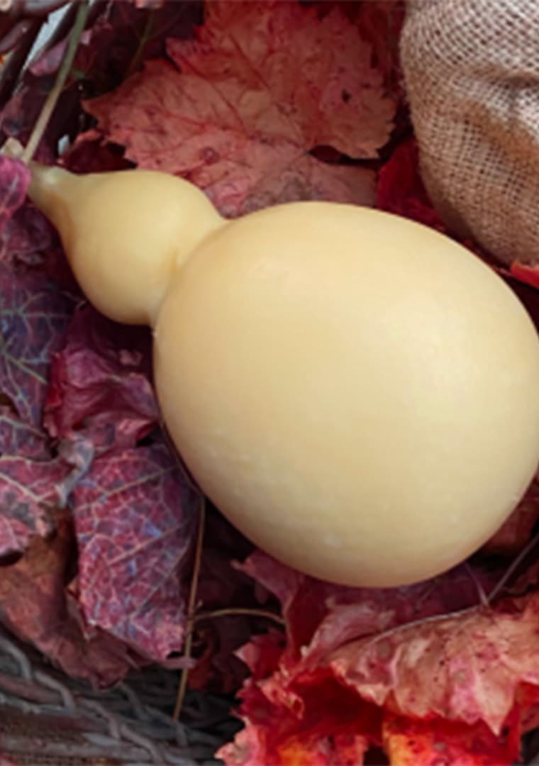 caciocavallo-fresco-e1648218317826-300x300