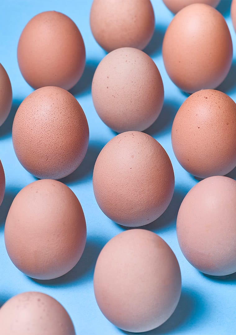 11828-fondo-colorato-L1002338