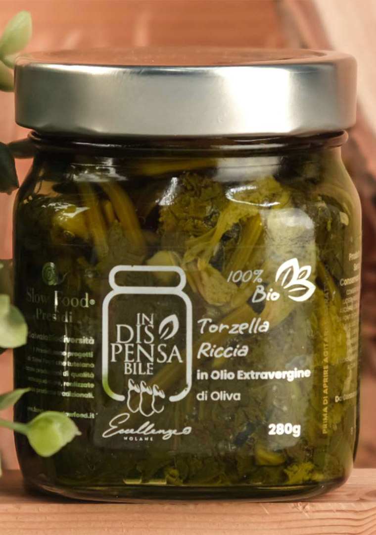 TORZELLA-RICCIA-.MOD-jpg-_1