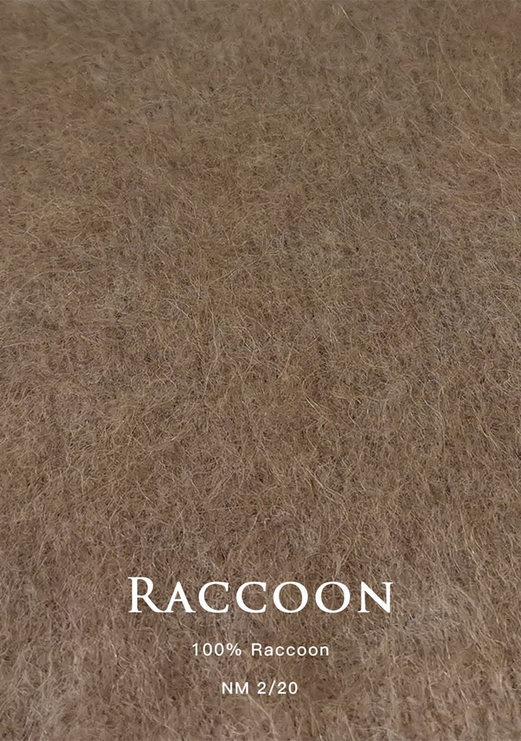 Raccoon