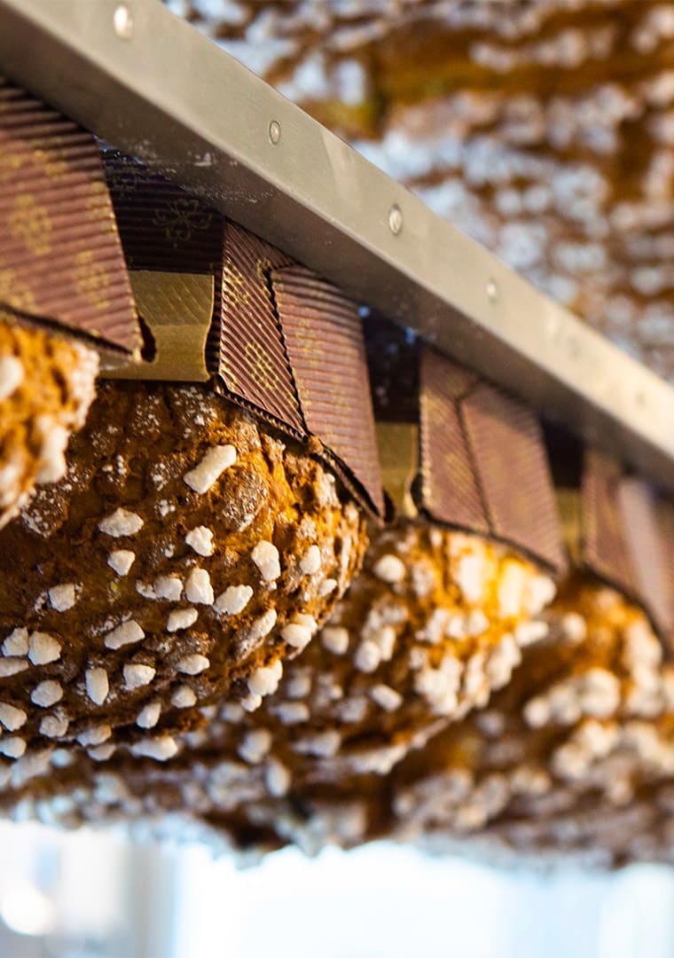 PM_Lievitati_1000x1200_TASTE