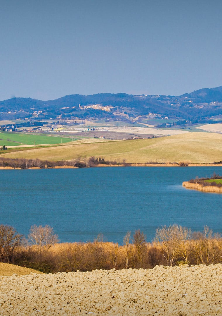 Bertoli_poster_A3_02