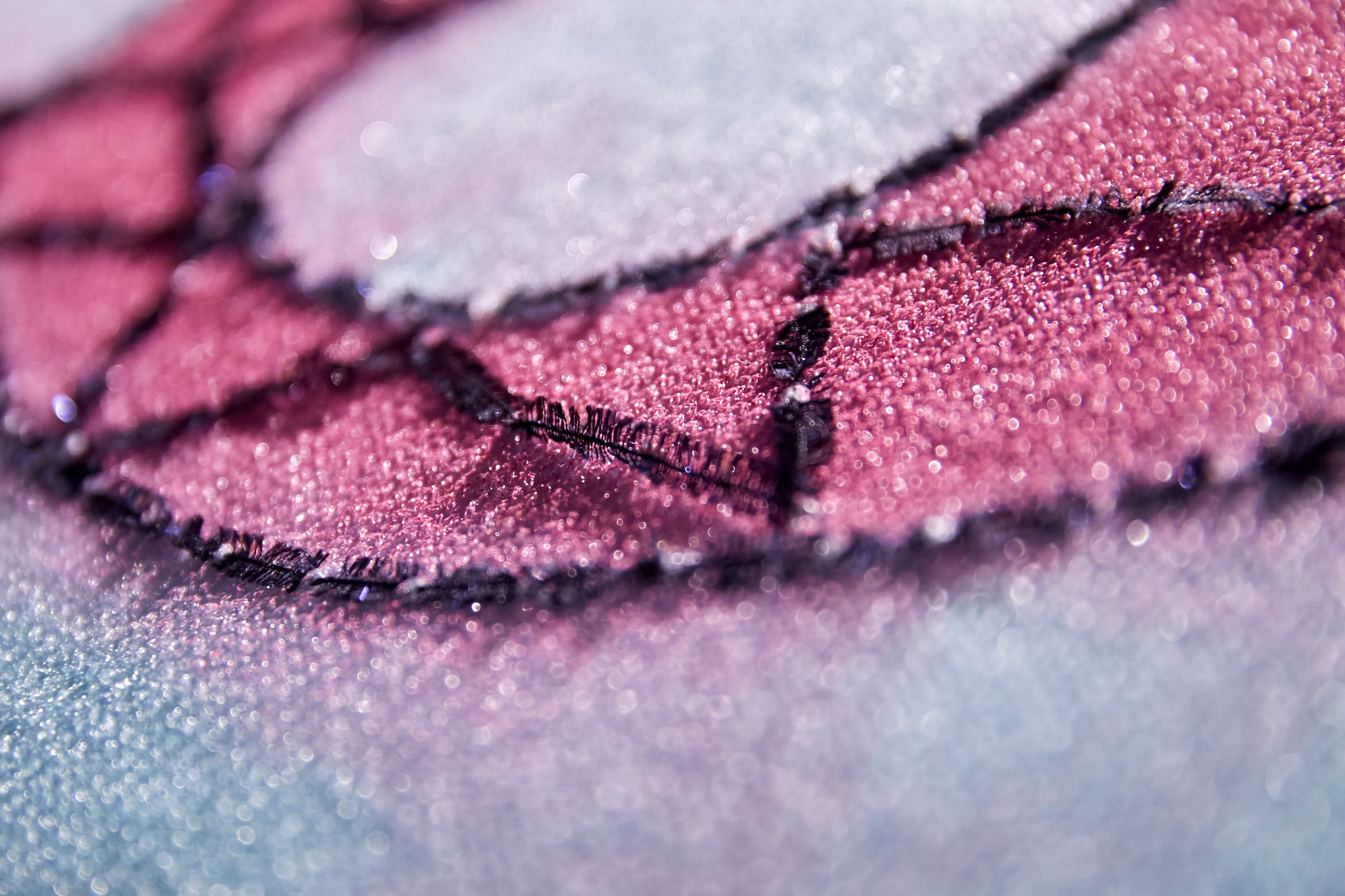 Alphabet_Details_008