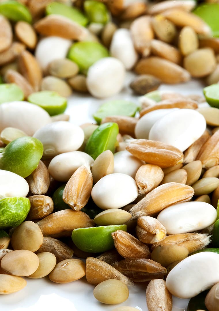 NUOVA_2_zuppa-birichina