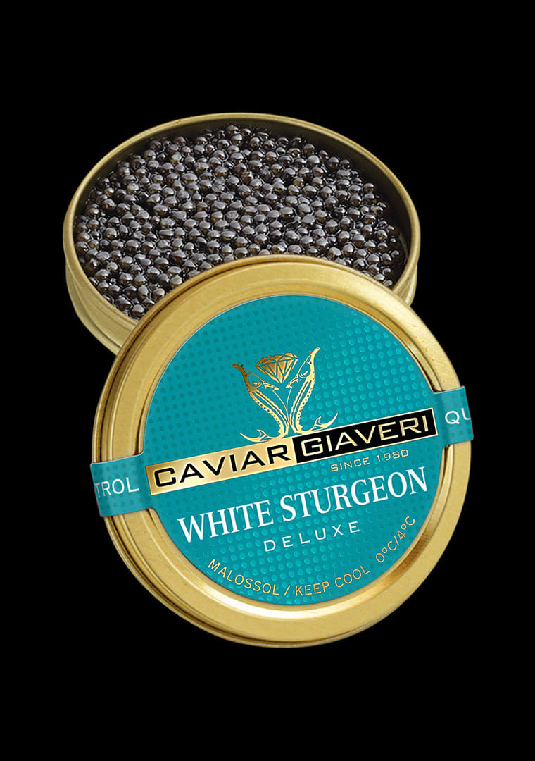 White-Sturgeon-Deluxe-BackNero