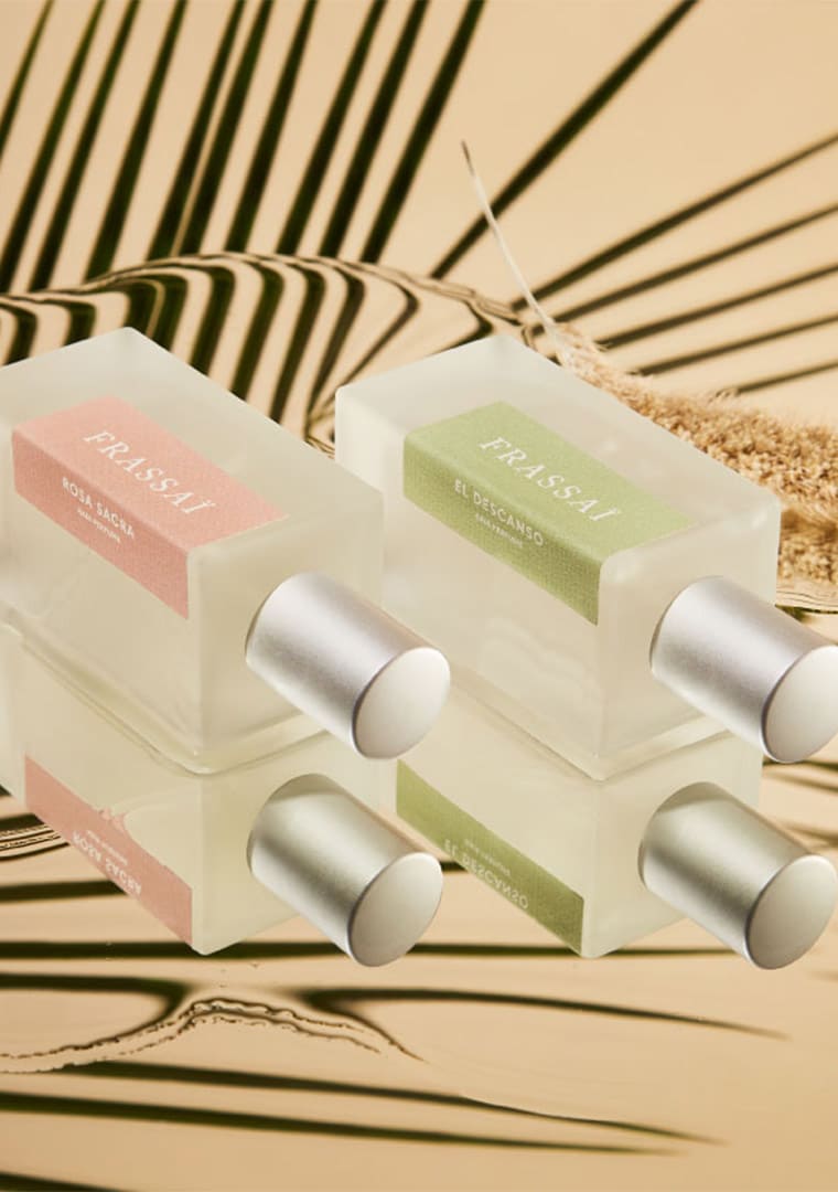 Frassai_HF_Group_web_cover