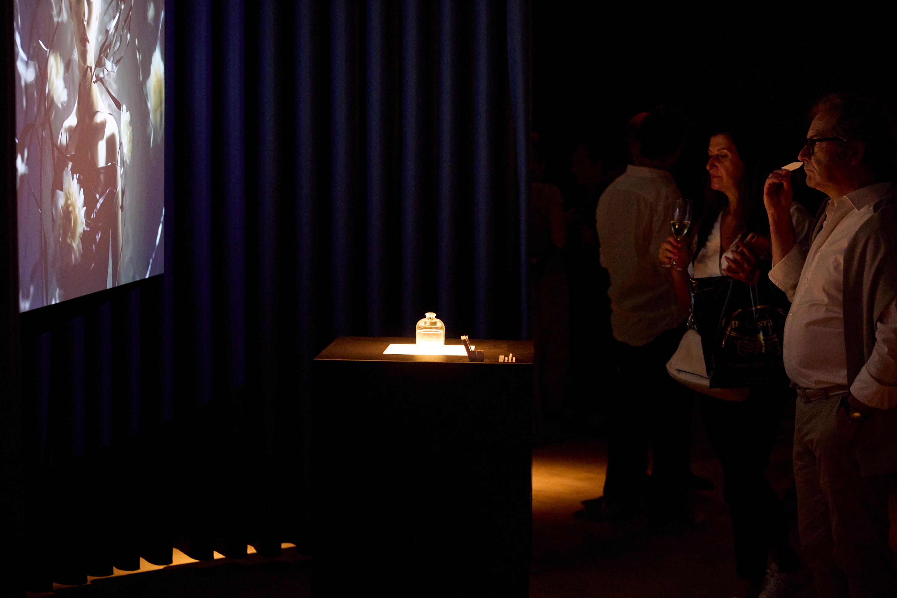 SymbioticExperience_022