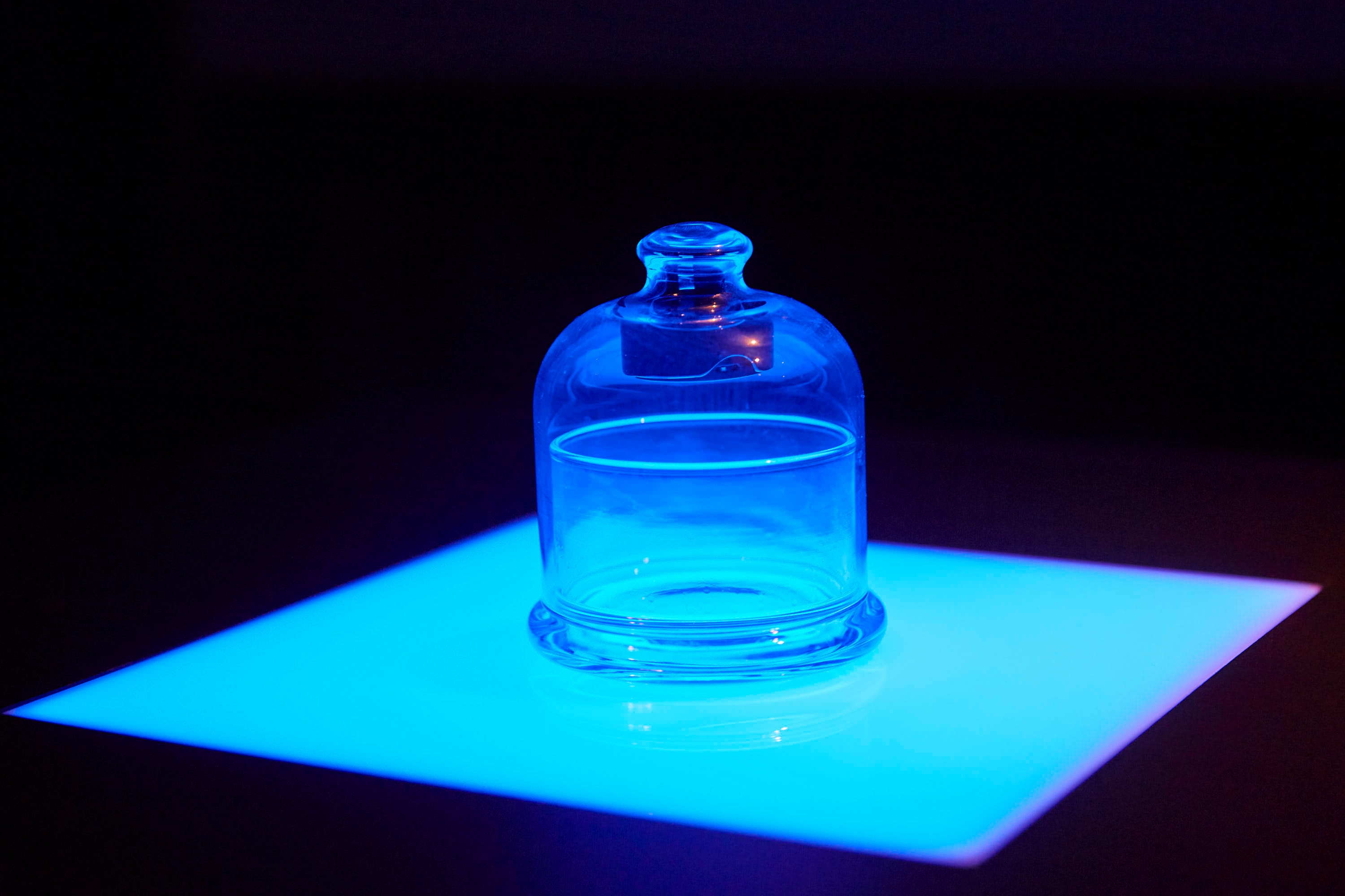 SymbioticExperience_034