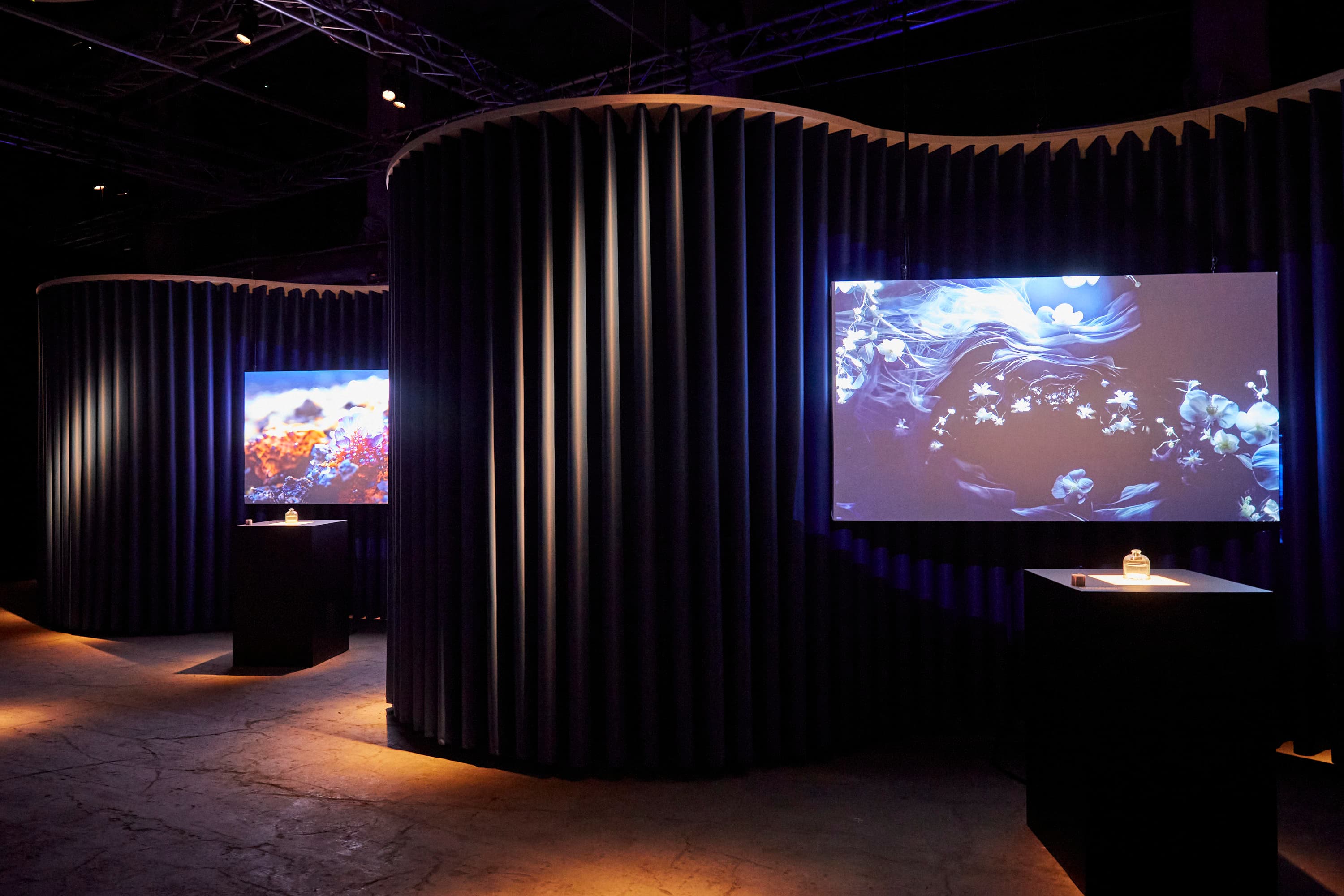 SymbioticExperience_036