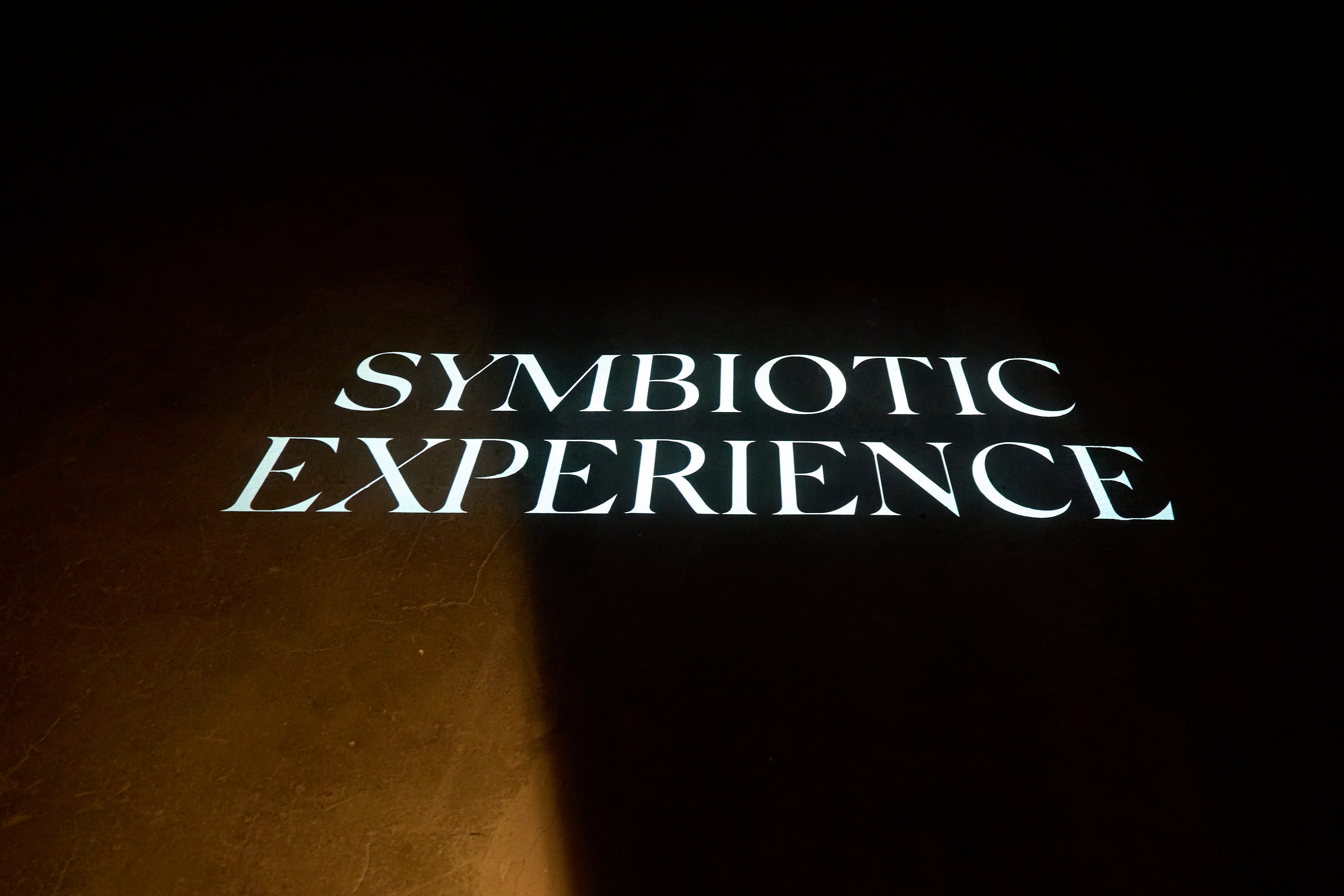 SymbioticExperience_059