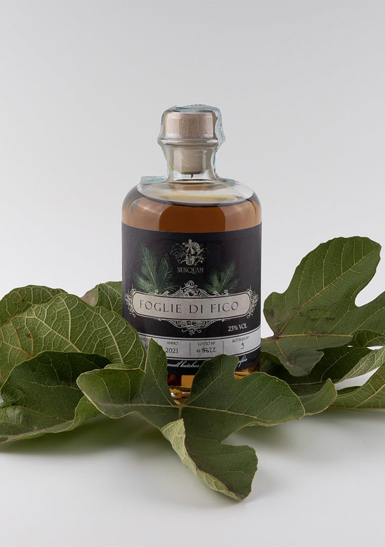 FOGLIE-DI-FICO-CON-SFONDO