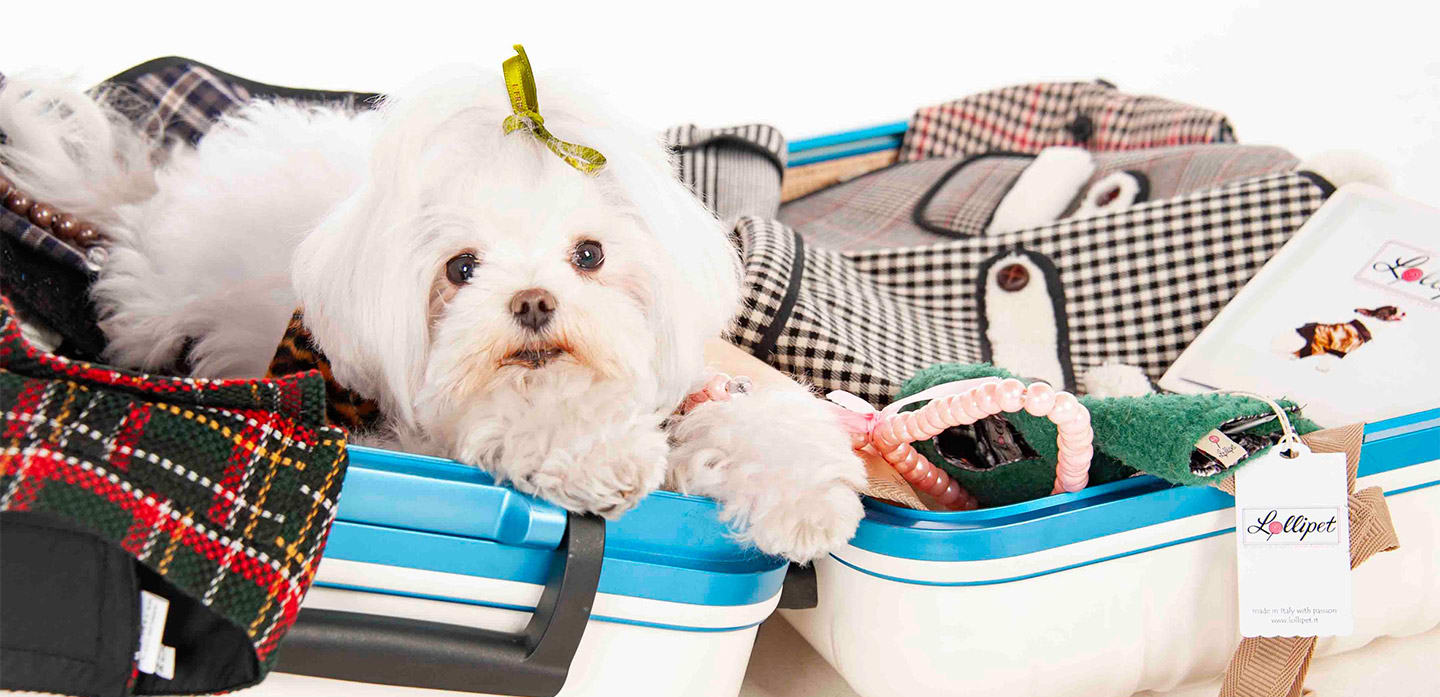 Tutto online pet carrier