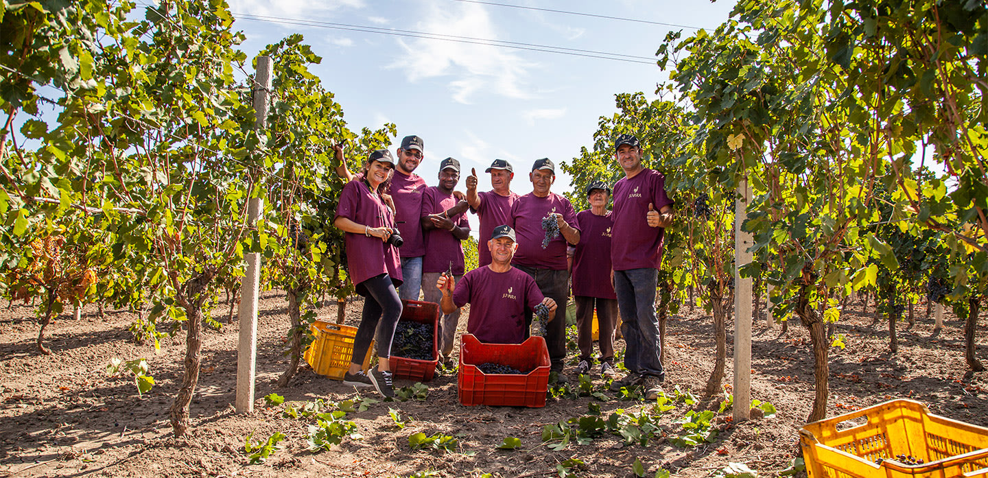 herobanner_AGRICOLAJUVARA_T17