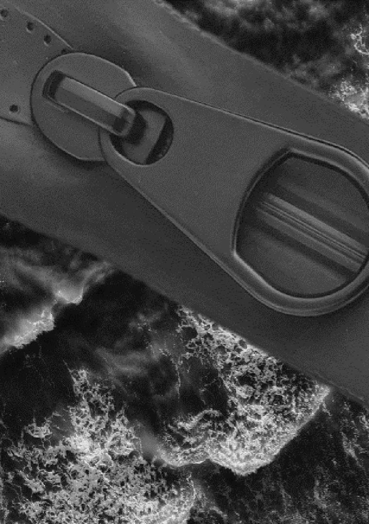 Nyseal-no-scritta-rsz-2