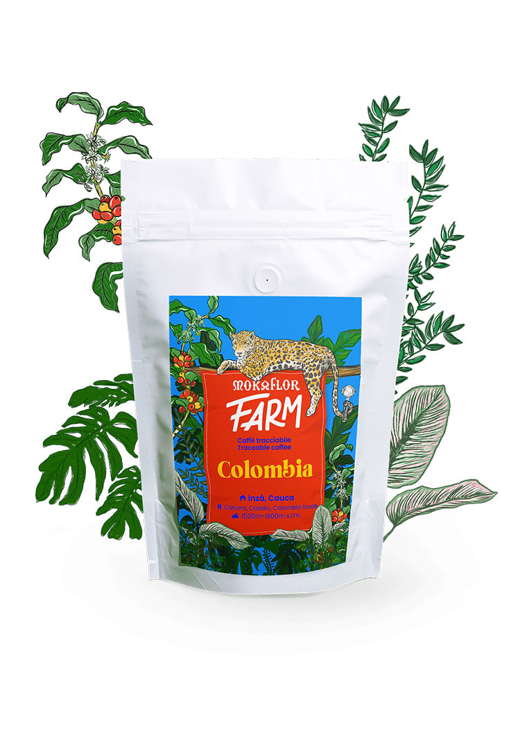 Farm_colombia_foglie_trasp