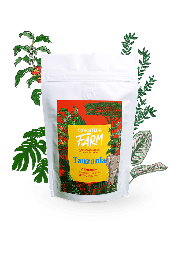 Farm_Tanzania_foglie_trasp