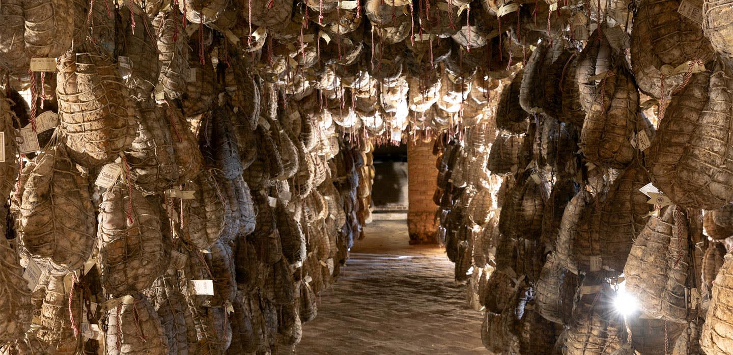 herobanner_ANTICACORTEPALLAVICINA_T17