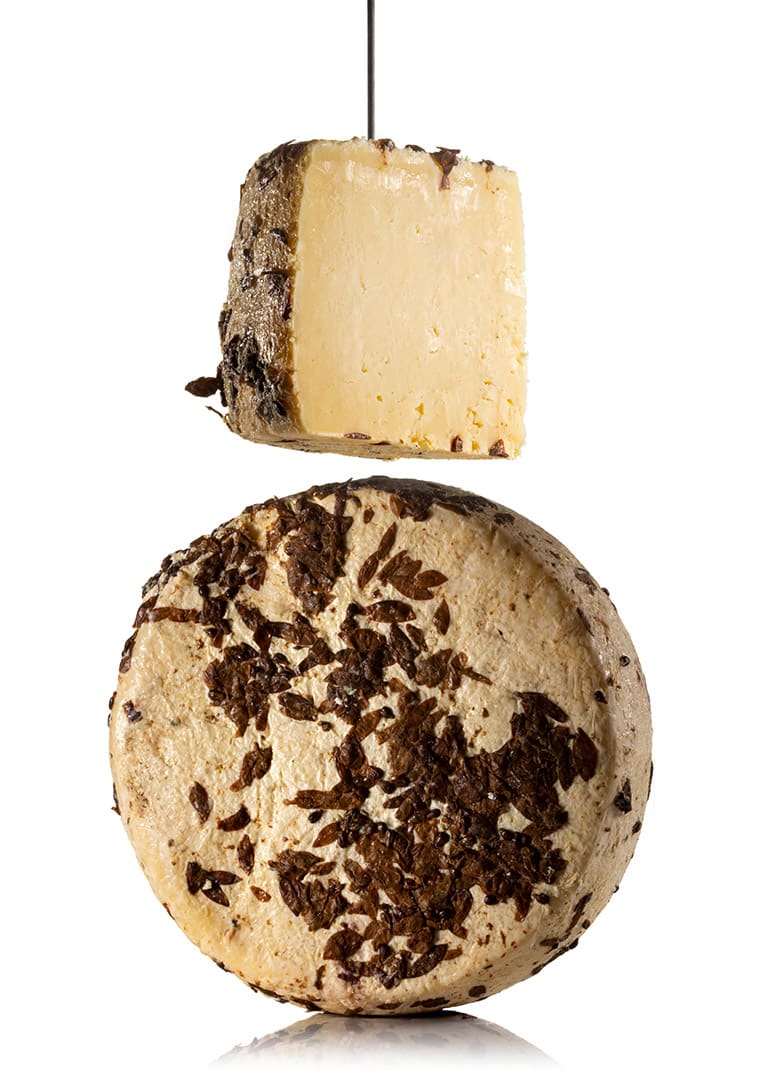 Caciotta-Don-Chisciotte