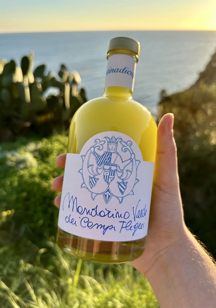 mandarino-verge-green-tangerine-liqueur-hand-held-assuntina-di-capri
