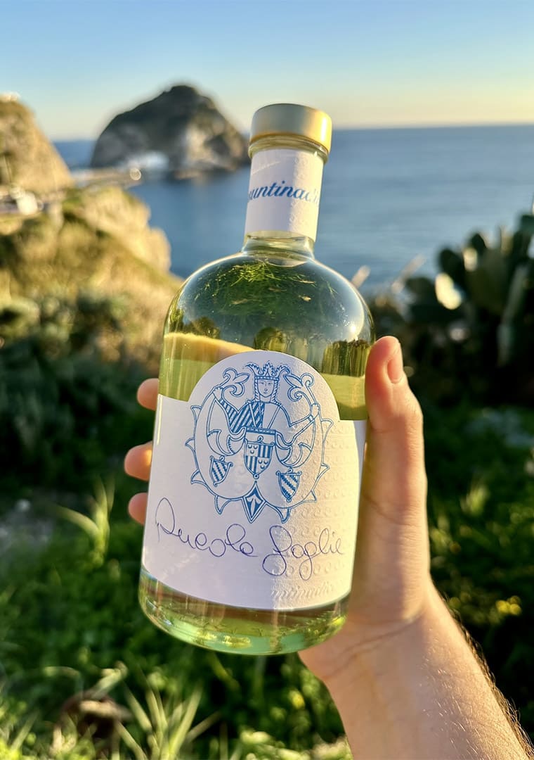 rucola-rucolino-rocket-liqueur-hand-held-assuntina-di-capri