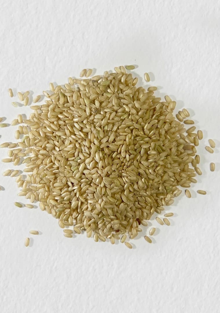 Riso_Integrale_Biologico