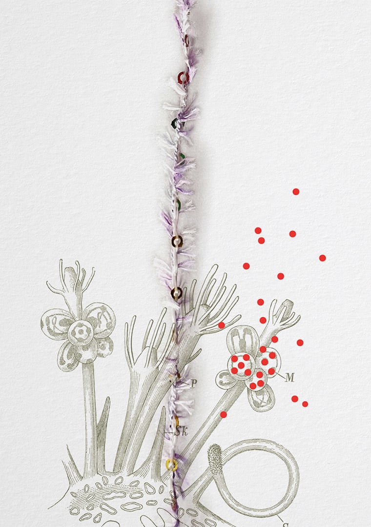 V91-SS25-HYDRA-PITTI-LOOKBOOK-15-IMG-1000X1300-1