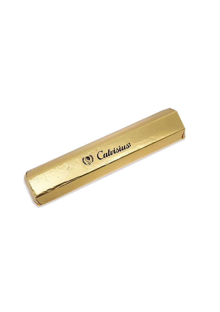 Lingotto_Calvisius_1