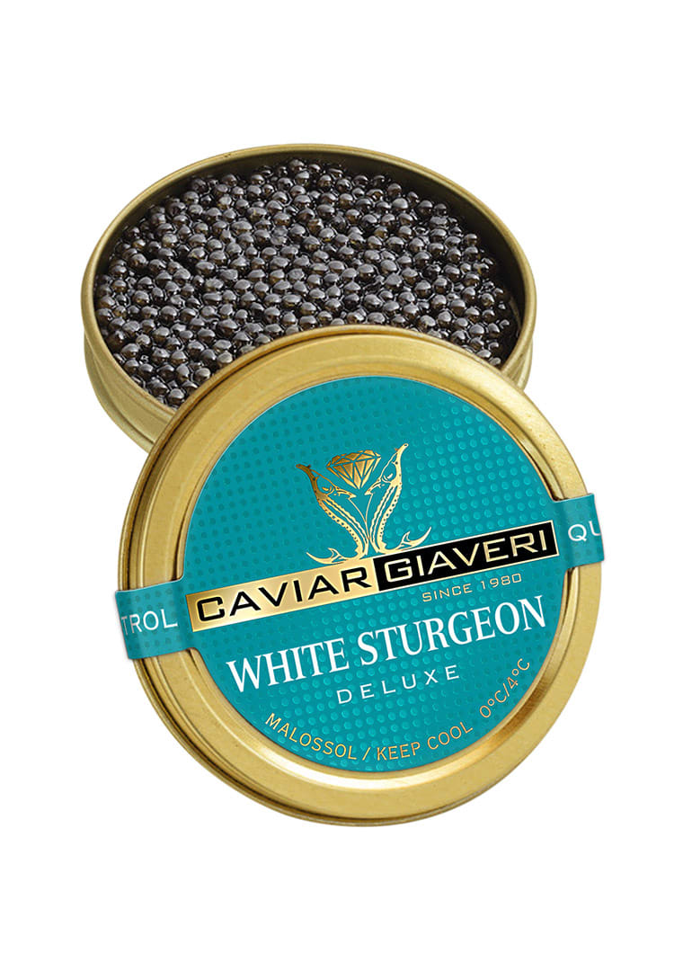 White-Sturgeon-Deluxe-BackBianco