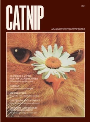 CatNip