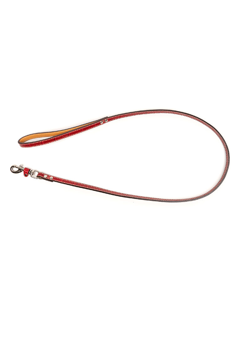 FELISI-DOGS-LOOKBOOK-FW23-19