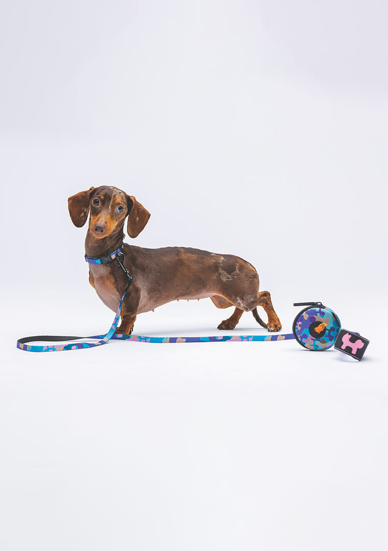 Screenshot-2024-05-29-alle-11.38.33