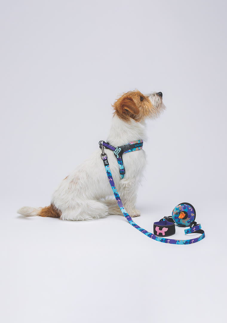 Screenshot-2024-05-29-alle-11.39.10